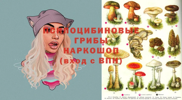 соль ск Ладушкин