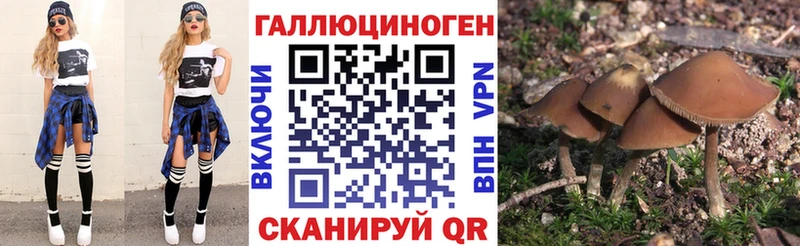 Купить  Новое Девяткино  Галлюциногенные грибы Magic Shrooms 